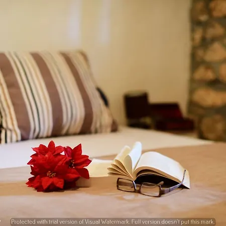Vila Smilje Zadarvillas Slivnica