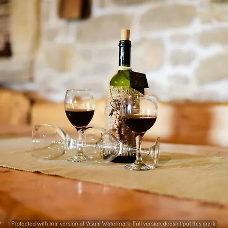 빌라 Smilje Zadarvillas *